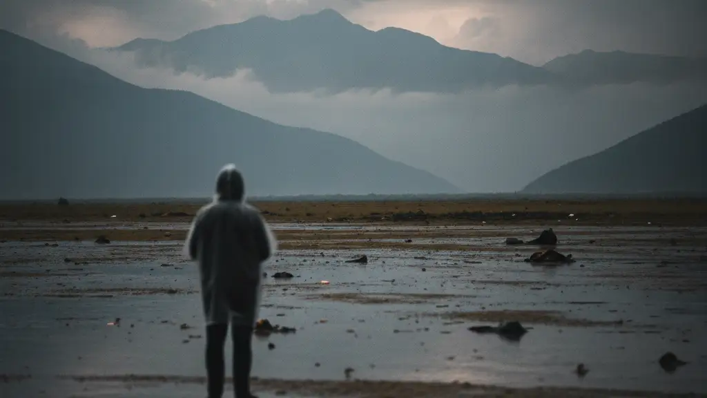 Blurred figure overlooking a vast, rain-slicked landscape in Nepal.
