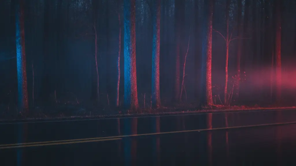 Emergency lights reflecting on wet ground near trees at dusk, suggesting an accident aftermath.