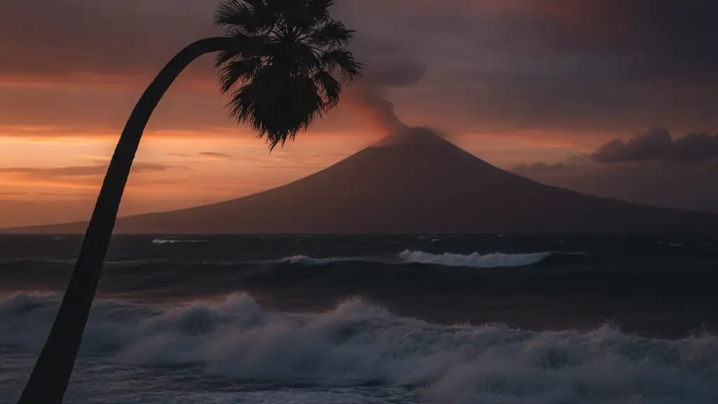 A lone palm tree silhouetted against a stormy, wind-whipped sky at dusk.