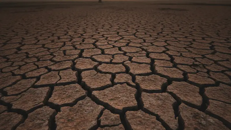 UK Braces for Potential Fourth Heatwave Amid Drought Conditions
