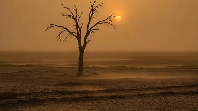 A parched tree silhouetted against a hazy, orange sunset over cracked earth.