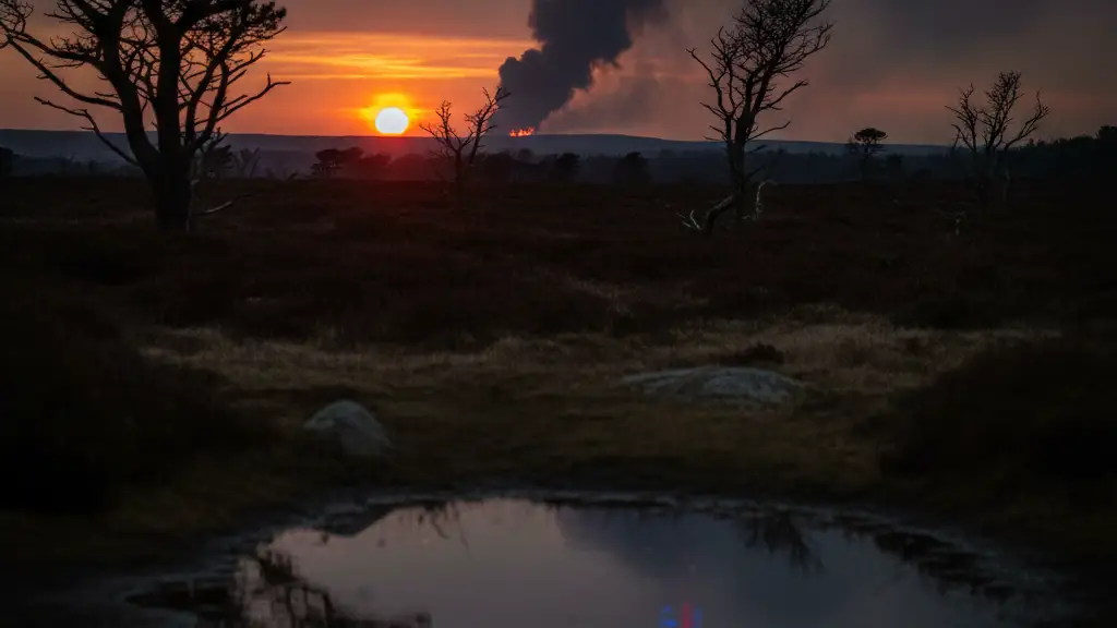 Smoke rising over heathland at dusk, emergency lights reflecting in a puddle.