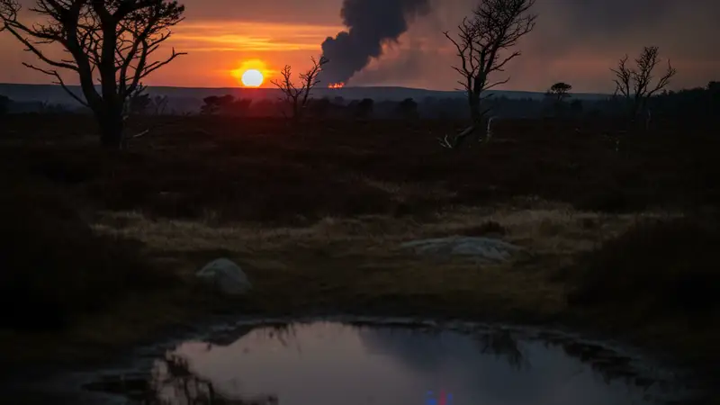 Dunwich Heath Declares Major Incident Amid Spreading Wildfire