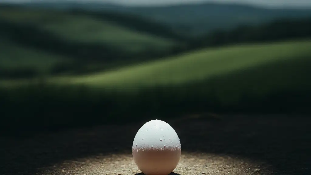 A single, white free-range egg dramatically lit against a blurred, moody landscape.