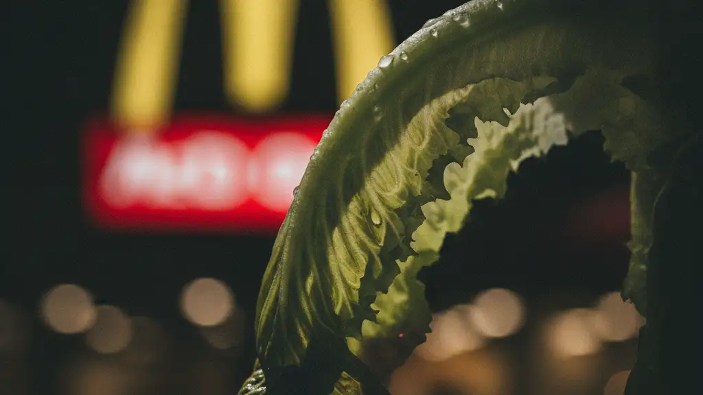 A wilting lettuce leaf with blurred fast-food lights in the background.