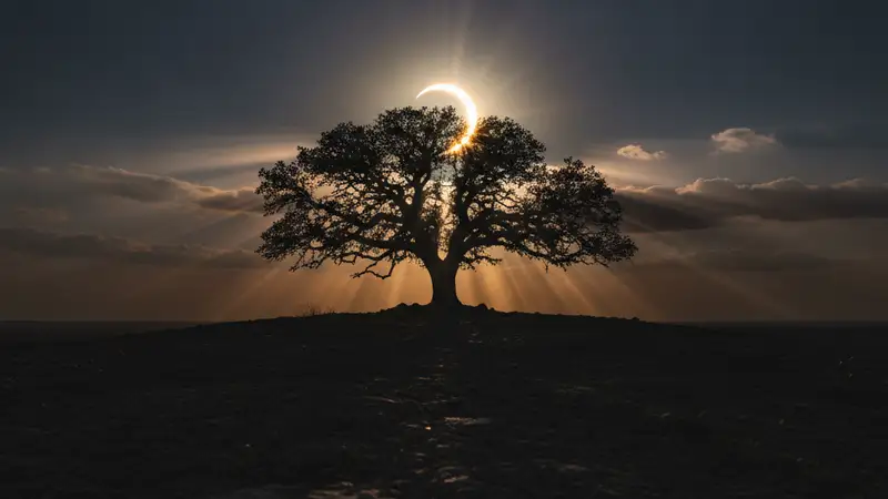 UK Prepares for Rarest Solar Eclipse in 54 Years