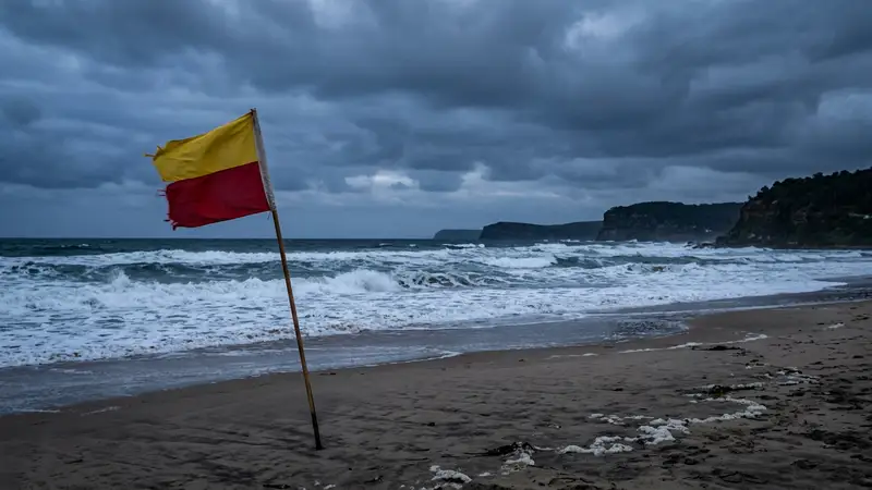 British Tourists Drown at Shellharbour Beach During Family Visit